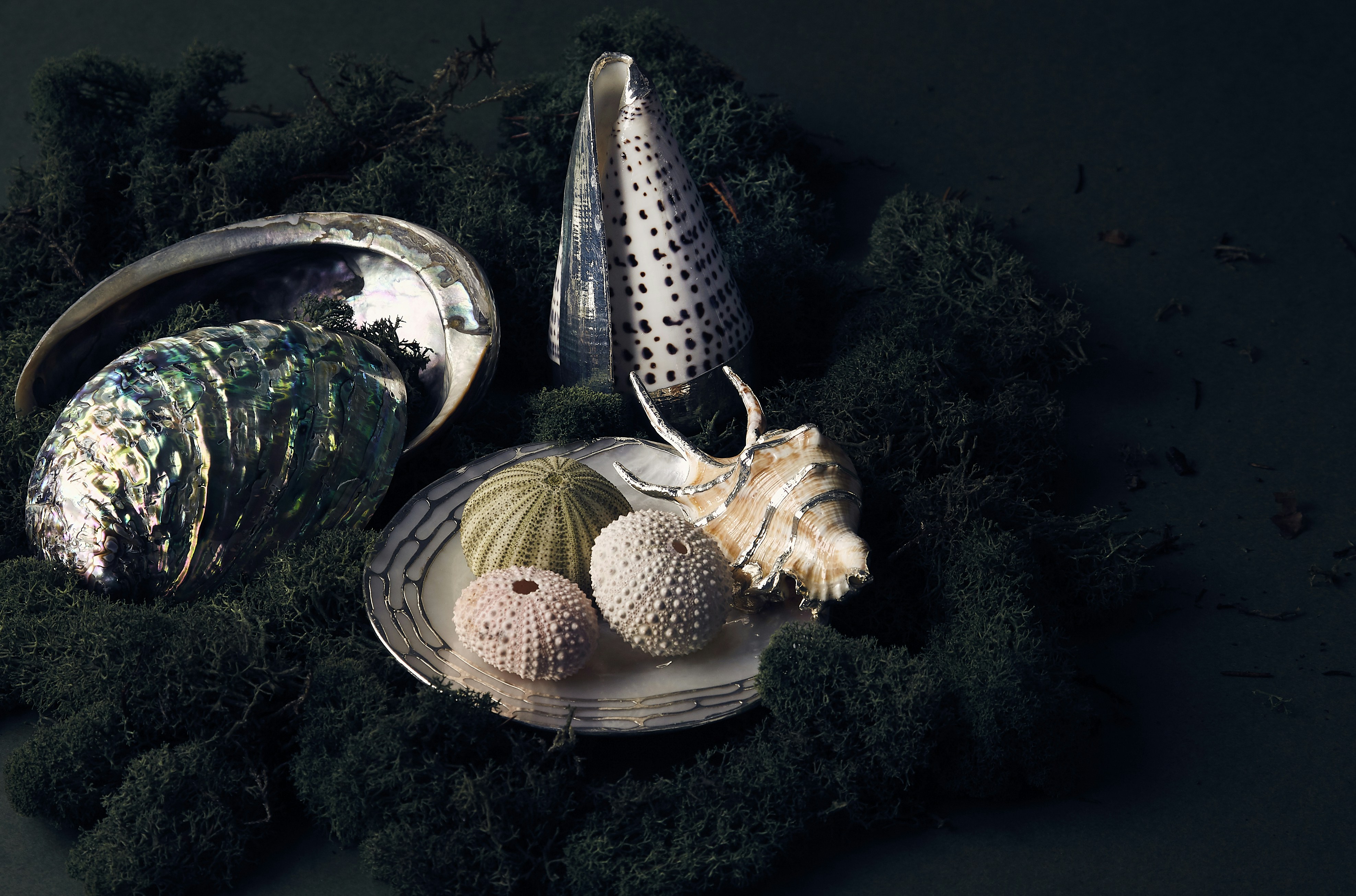 Natural Interiors and Decorations <br />
Max Letek. @BlackProjection